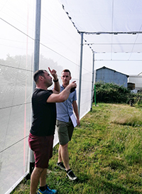 Insect nets wine and fruit cultivation